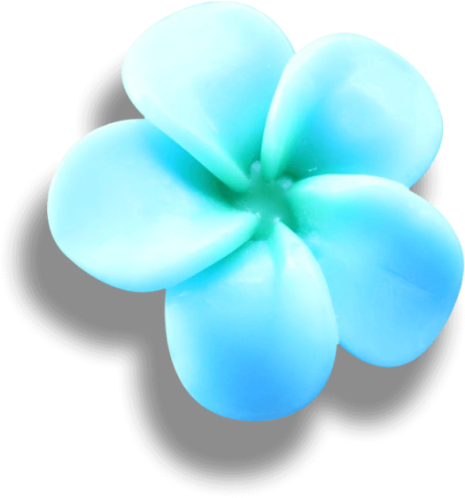 Frangipani Png HD Free Download