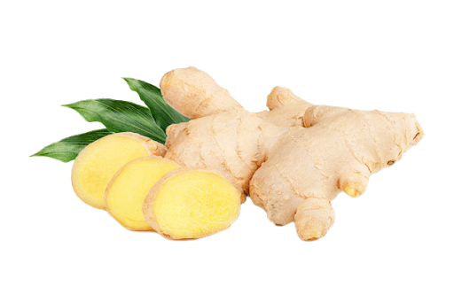 Fresh Galangal Png HD Free Download