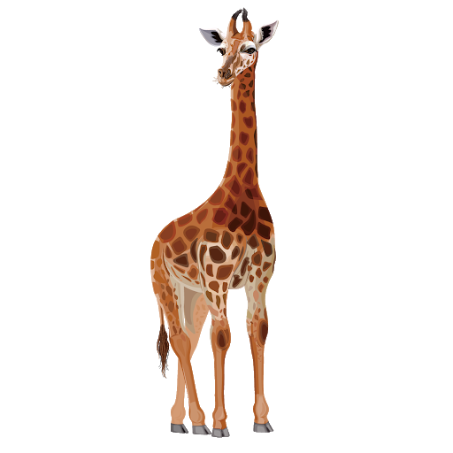 Giraffe Pic African Png HD Free Download