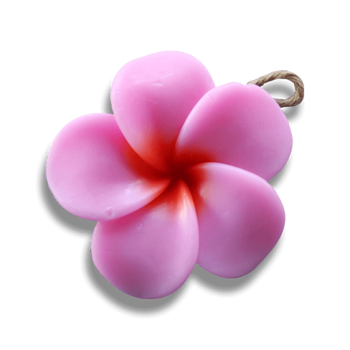 Pink Frangipani Flower Png HD Free Download