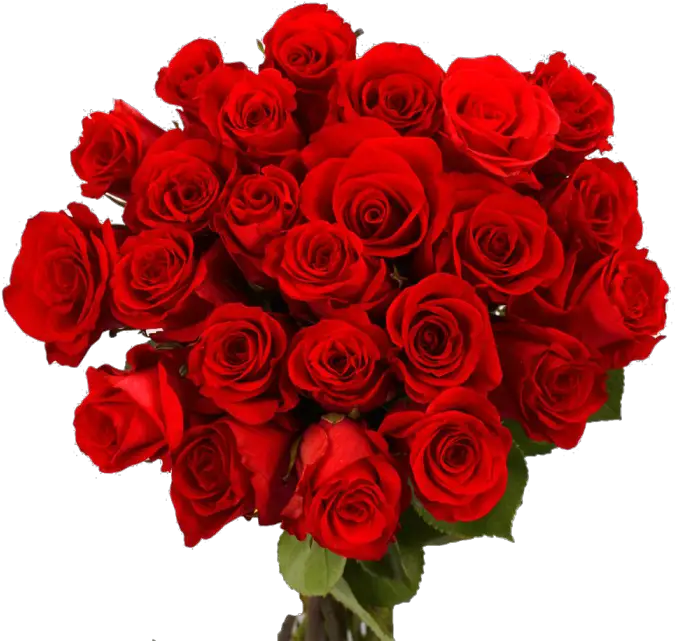 Bouquet Rose Red Png HD Free Download