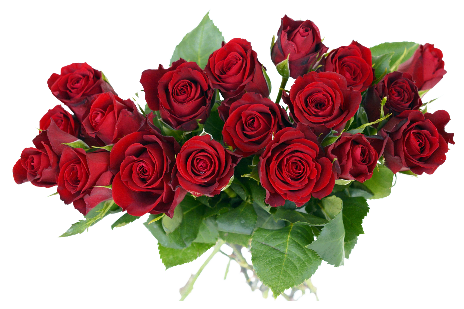 Bouquet Rose Pic Bunch Png HD Free Download
