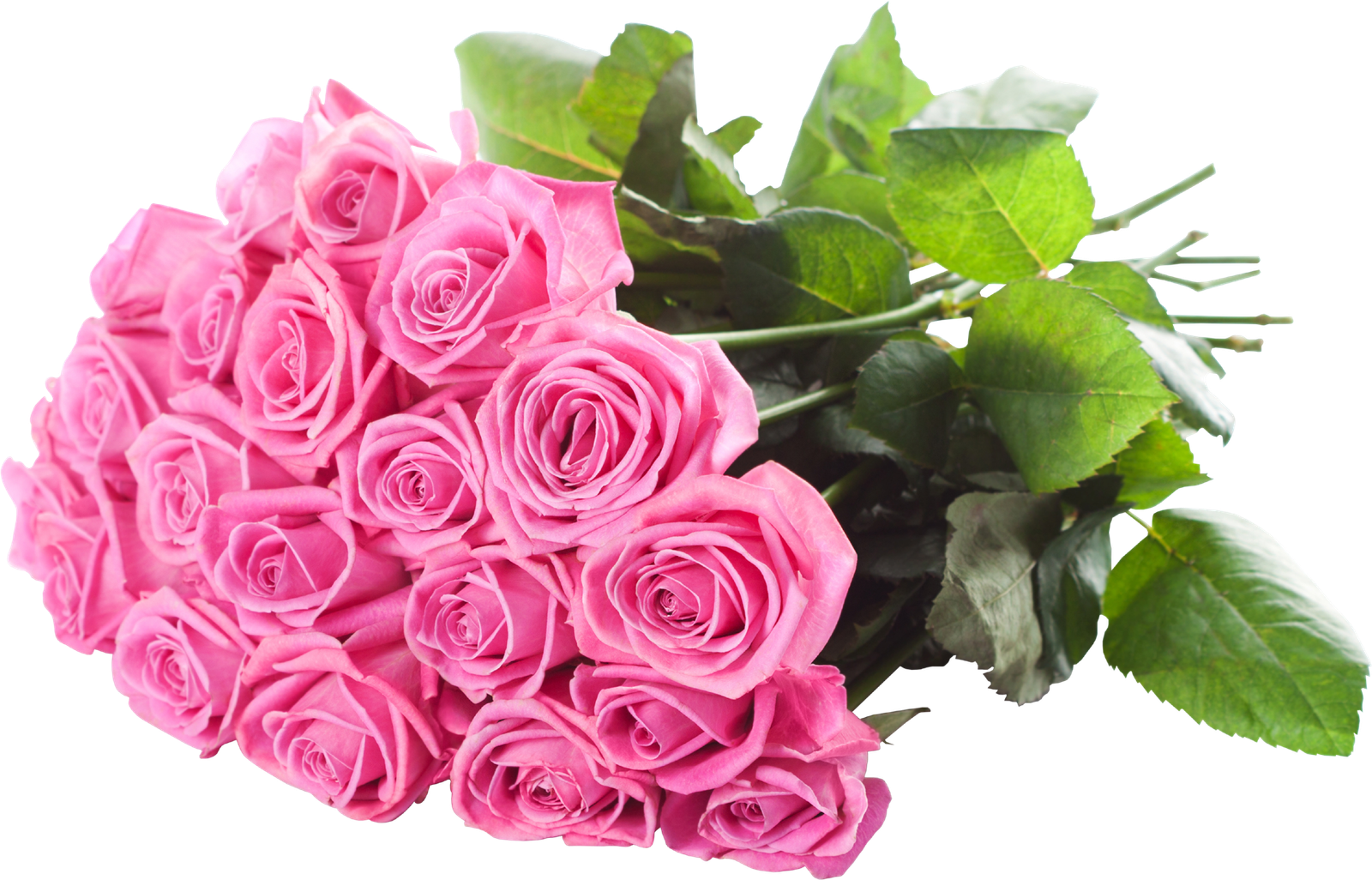 Bouquet Rose Pic Png HD Free Download