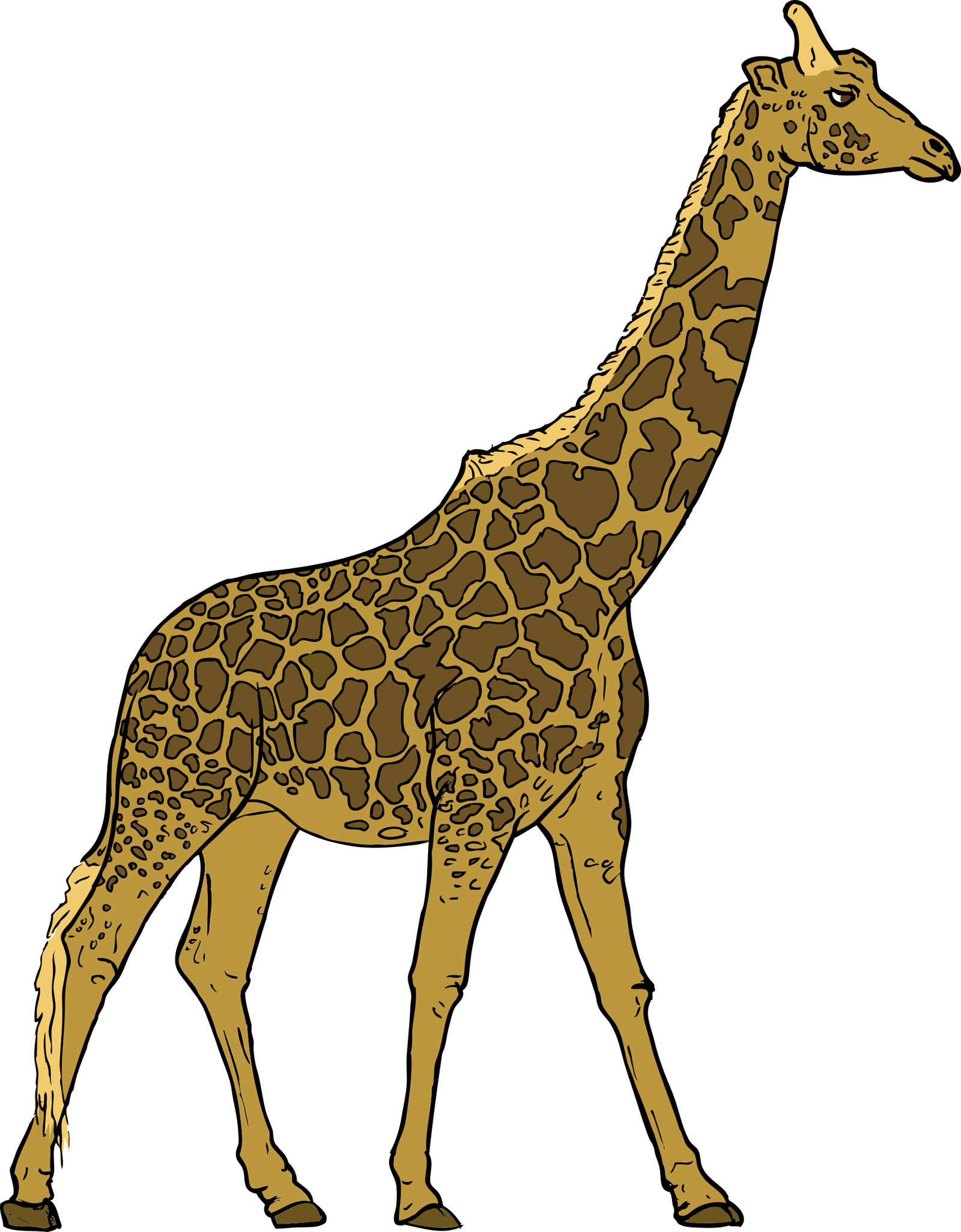 Small Giraffe Vector Clipart Png HD Free Download