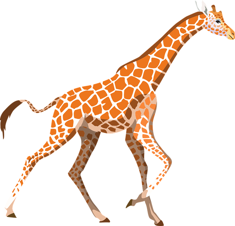 Giraffe Vector Png HD Free Download