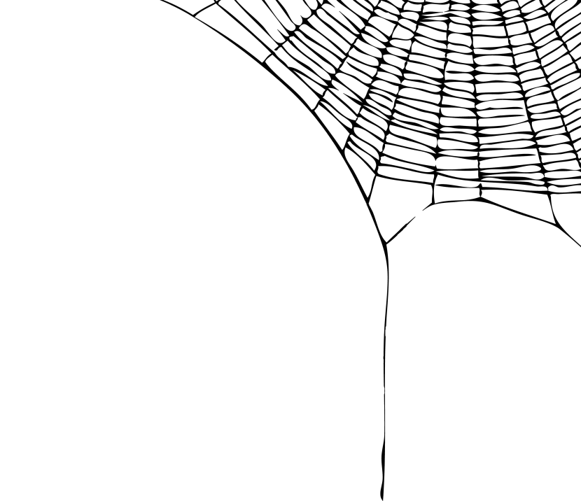 Spider Web Png HD Free Download