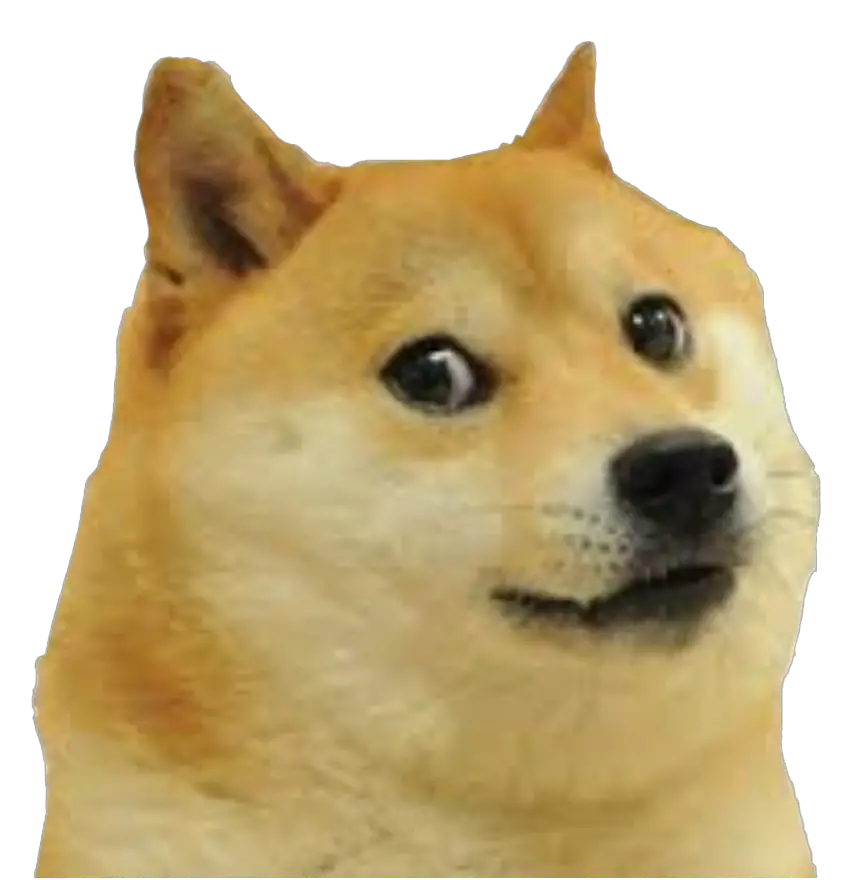 Meme Doge Png HD Free Download