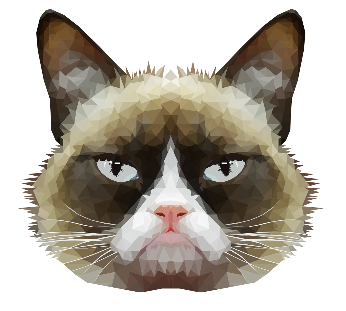 Grumpy Face Cat Png HD Free Download