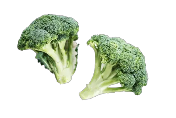 Green Broccoli Clipart Png HD Free Download