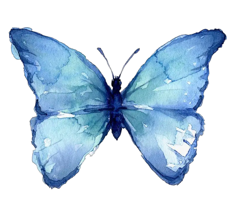 Butterfly Watercolor Art Png HD Free Download