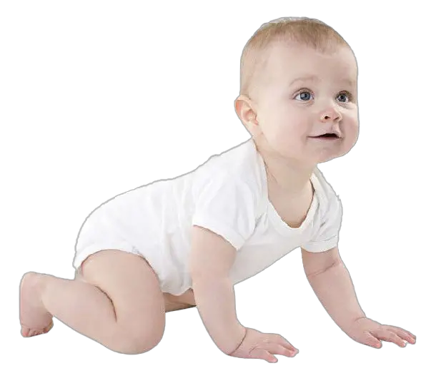 Baby Cute Png HD Free Download