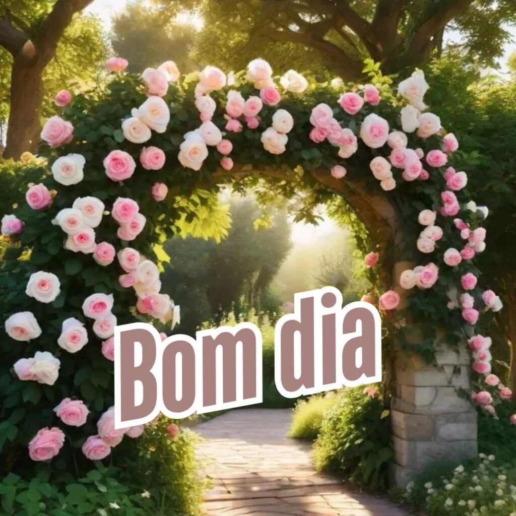 imagens de bom dia para hoje