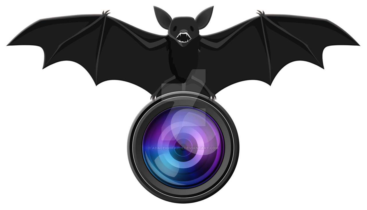 Bat And Camera Lens Logo PNG  HD Free Download