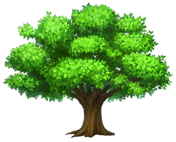 Ağaç PNG Tree PNG Agac Resimler PNG Tree Images  HD Free Download