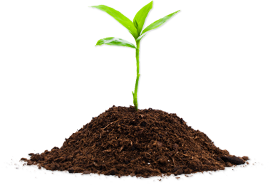 Alpaca Compost Fertilizing Potting Soil Alpacas  HD Free Download
