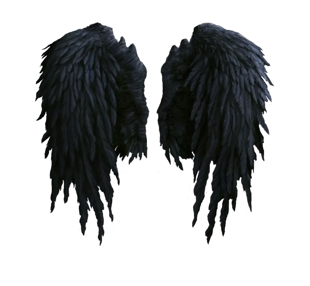 Angel Wings PNG Lingdumstudog Deviantart HD Free Download