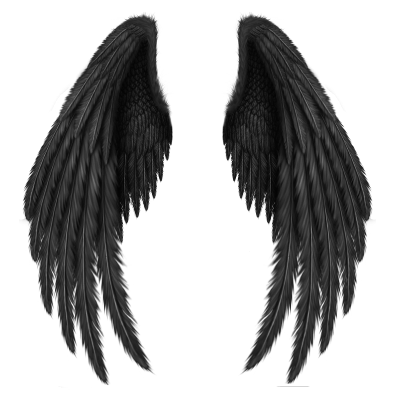 Angel Wings PNG Pin Ann Techlin Artistically And Creatively Wings  HD Free Download