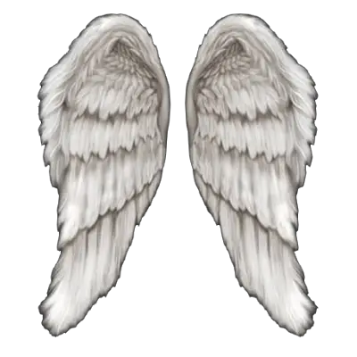 Angel Wings PNG The Angel Bowen The Repository  HD Free Download