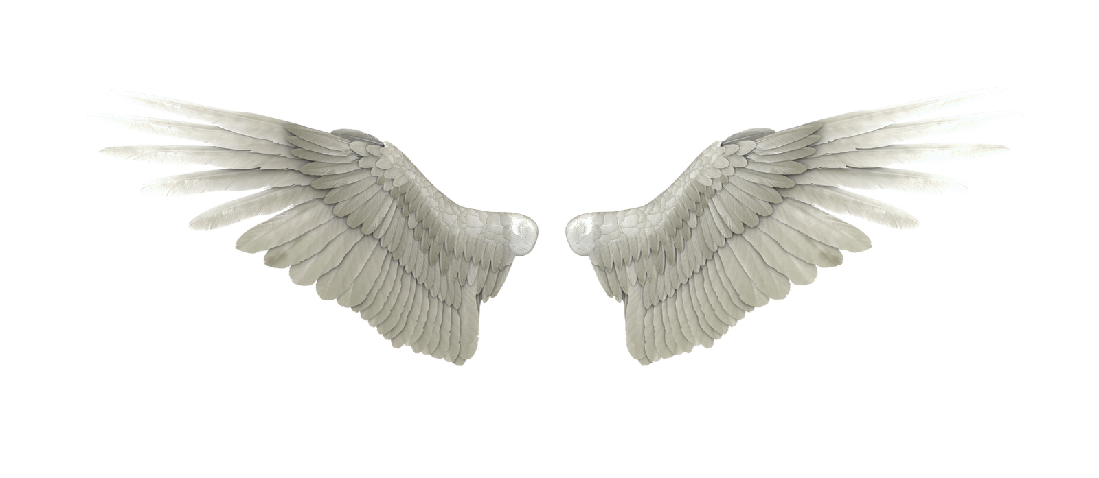 Angel Wings PNG Woo Hoo Favourites Flobelebelebobele Deviantart HD Free Download