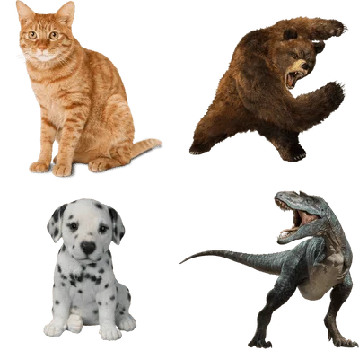Animals PNG Images For Commercial Use Transparent  HD Free Download
