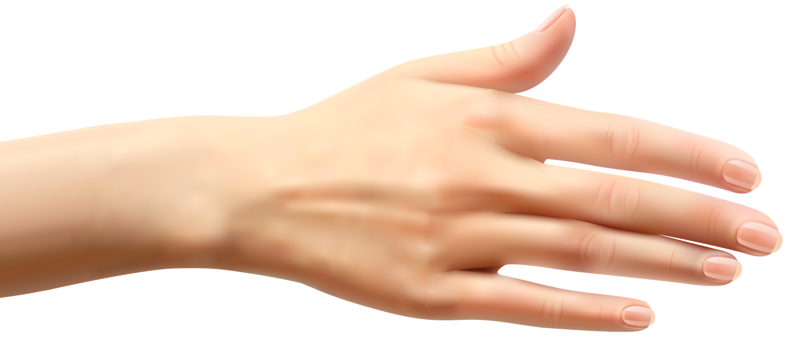 Arm Clipart Full Hand Clip Arts For  HD Free Download