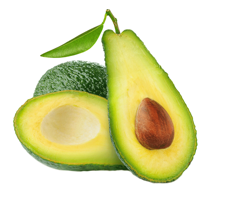 Avocado Monthly Organic Avocados Shipped Monthly  HD Free Download