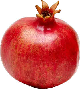 Background Pomegranate PNG Transparent  HD Free Download