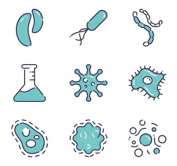 Bacteria Icons Designed Good Ware Flaticon HD Free Download