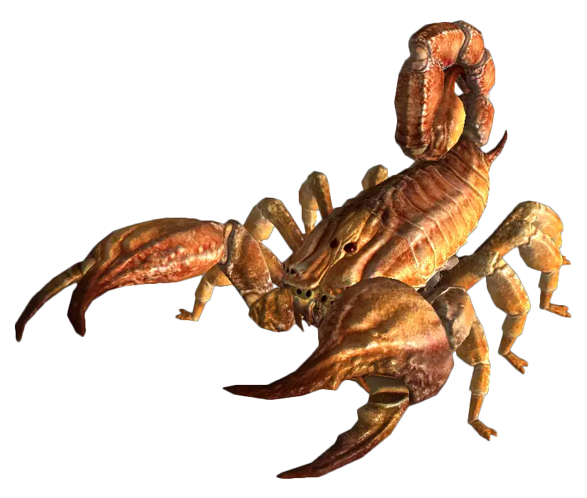 Bark Scorpion The Vault Fallout Wiki Fallout Fallout New Vegas And More HD Free Download
