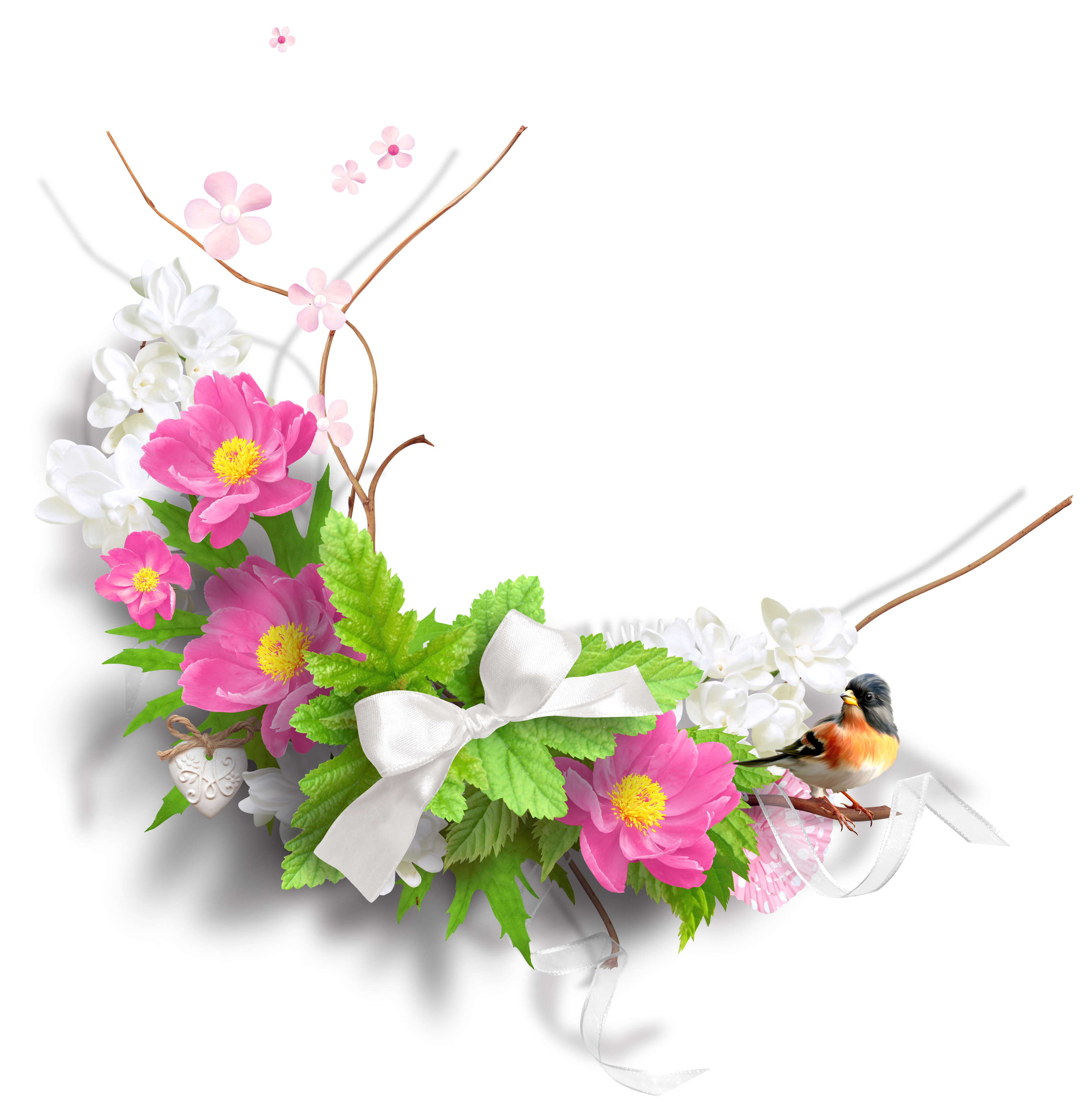 Beautiful Spring Flowers Transparent  HD Free Download