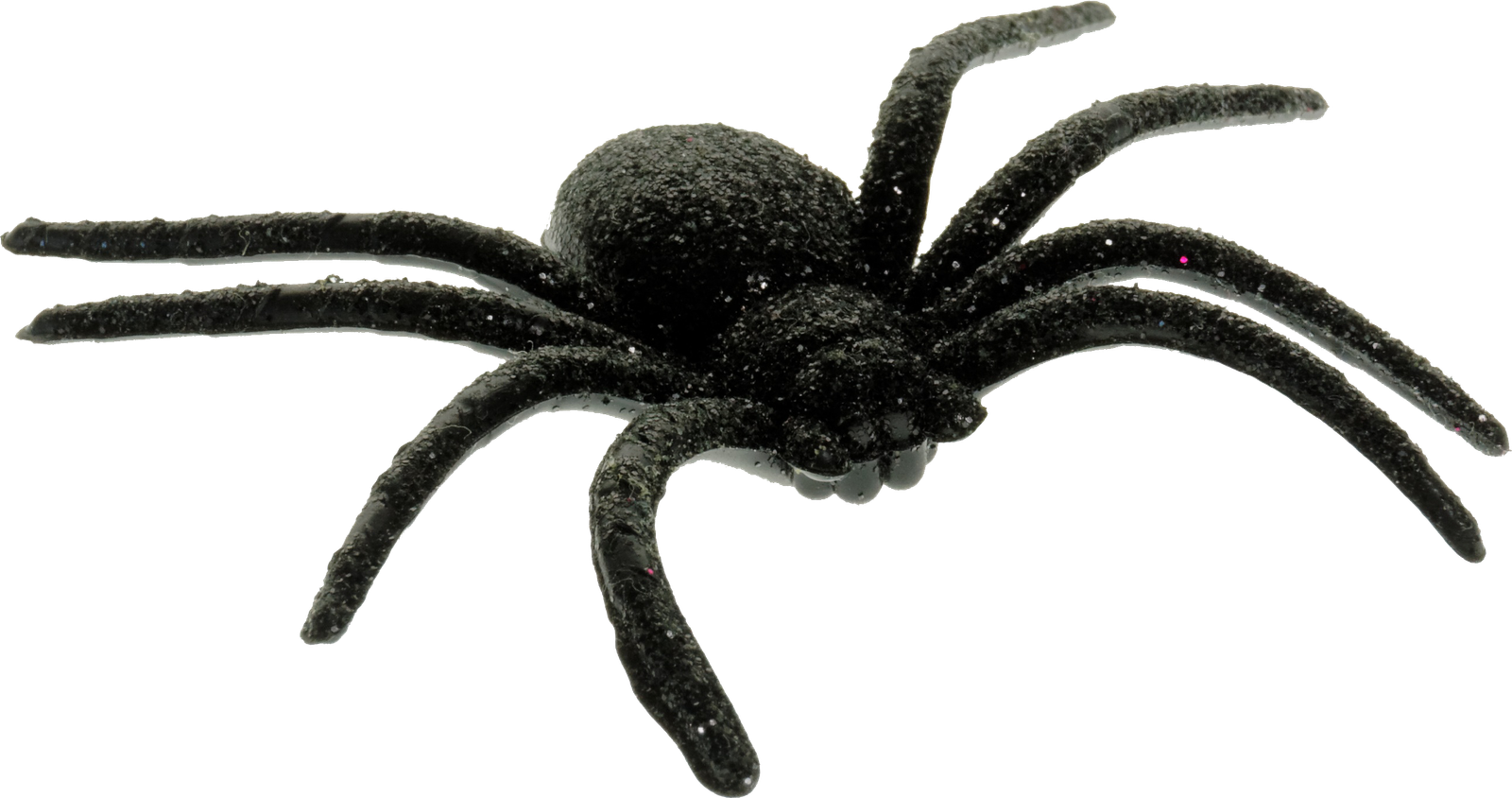 Big Black Scary Spider PNG Image  HD Free Download