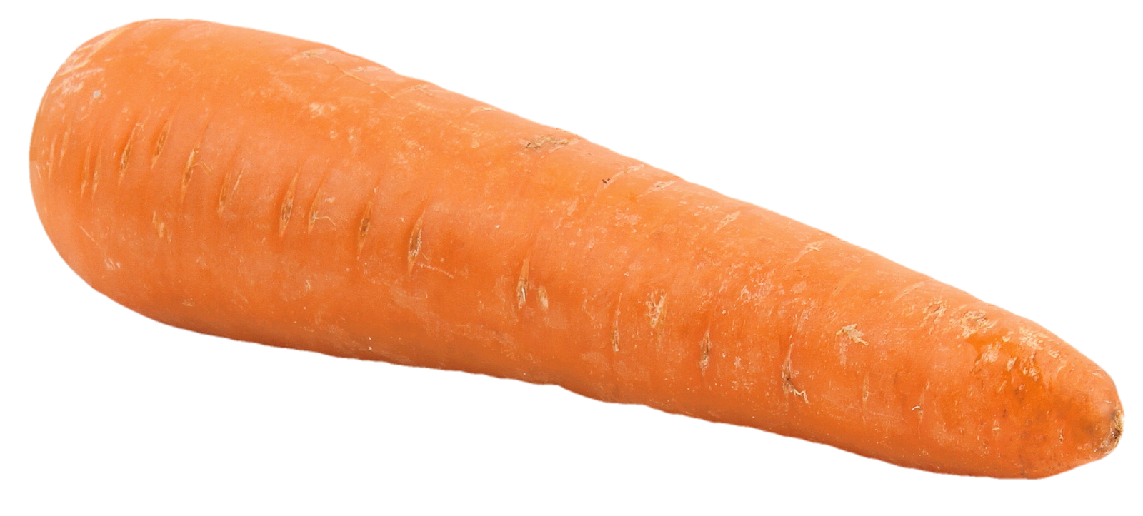 Big Carrot PNG Image   HD Free Download