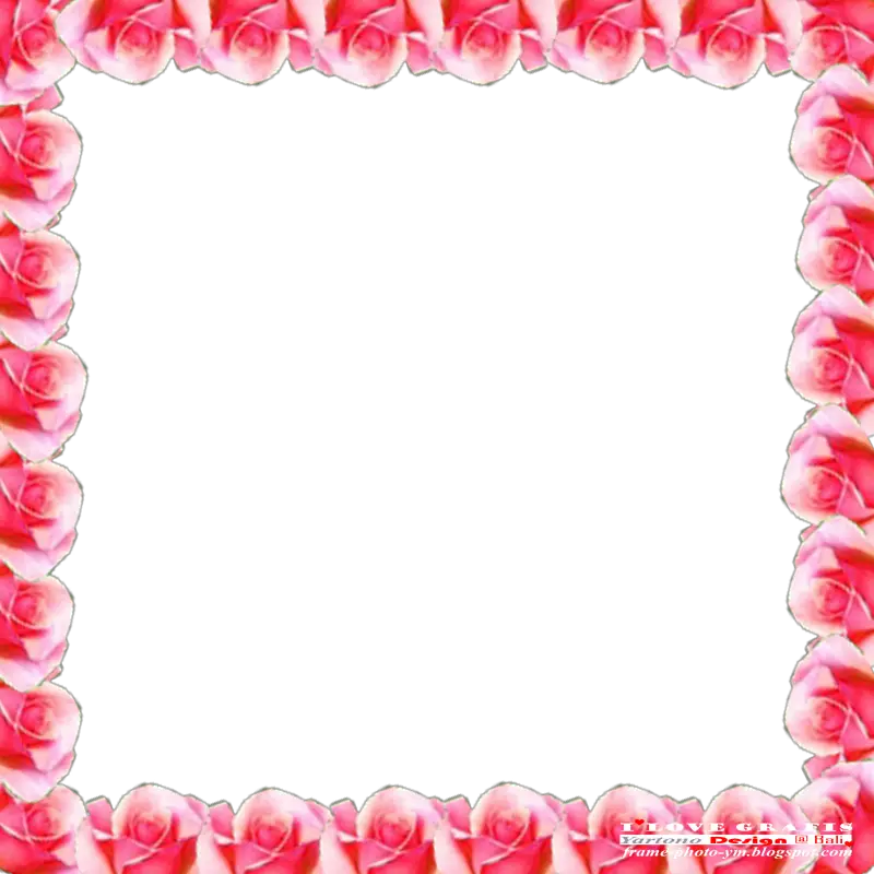 Bingkai Bunga Frame Photo Bingkai Foto Gratis HD Free Download
