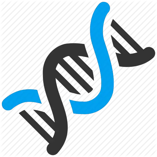 Biology Chain Chemistry Code Dna Genetic Molecule Icon  HD Free Download