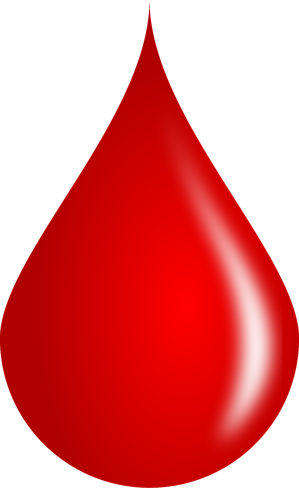 Blood Drop Circulatory System Emaze  HD Free Download