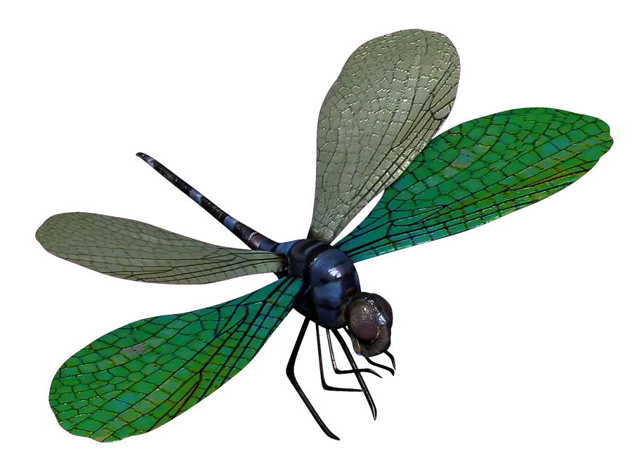 Blue Dragonfly Model Toysoldierthor Deviantart HD Free Download