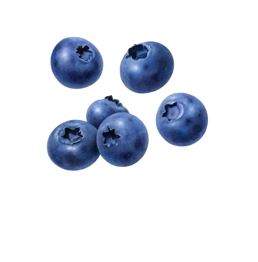 Blueberries Blueberry Clipart Cognigen Cellular  HD Free Download