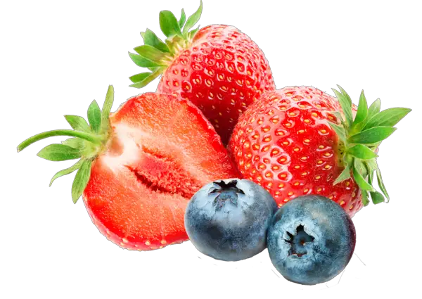 Blueberries Vitamin Boost Lozenges Tiny And Full Online Store  HD Free Download