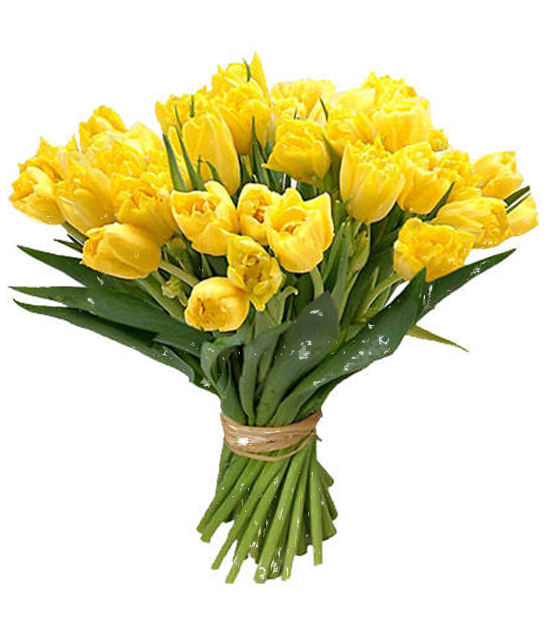 Bouquet Ywllow Flowers PNG Transparent Images  HD Free Download