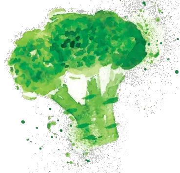 Broccoli Cullman Chemoprotection Center Johns Hopkins University  HD Free Download