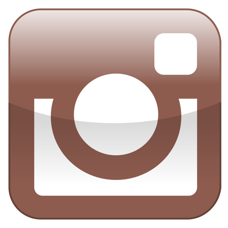 Brown Logo Instagram Fichier Instagram Shiny Icon  HD Free Download