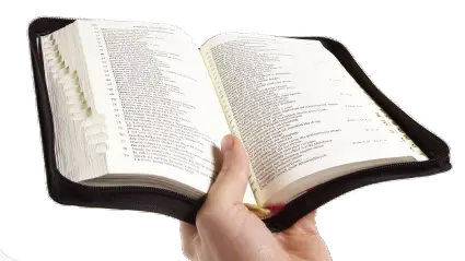 Browse And Bible PNG Pictures Icons  HD Free Download