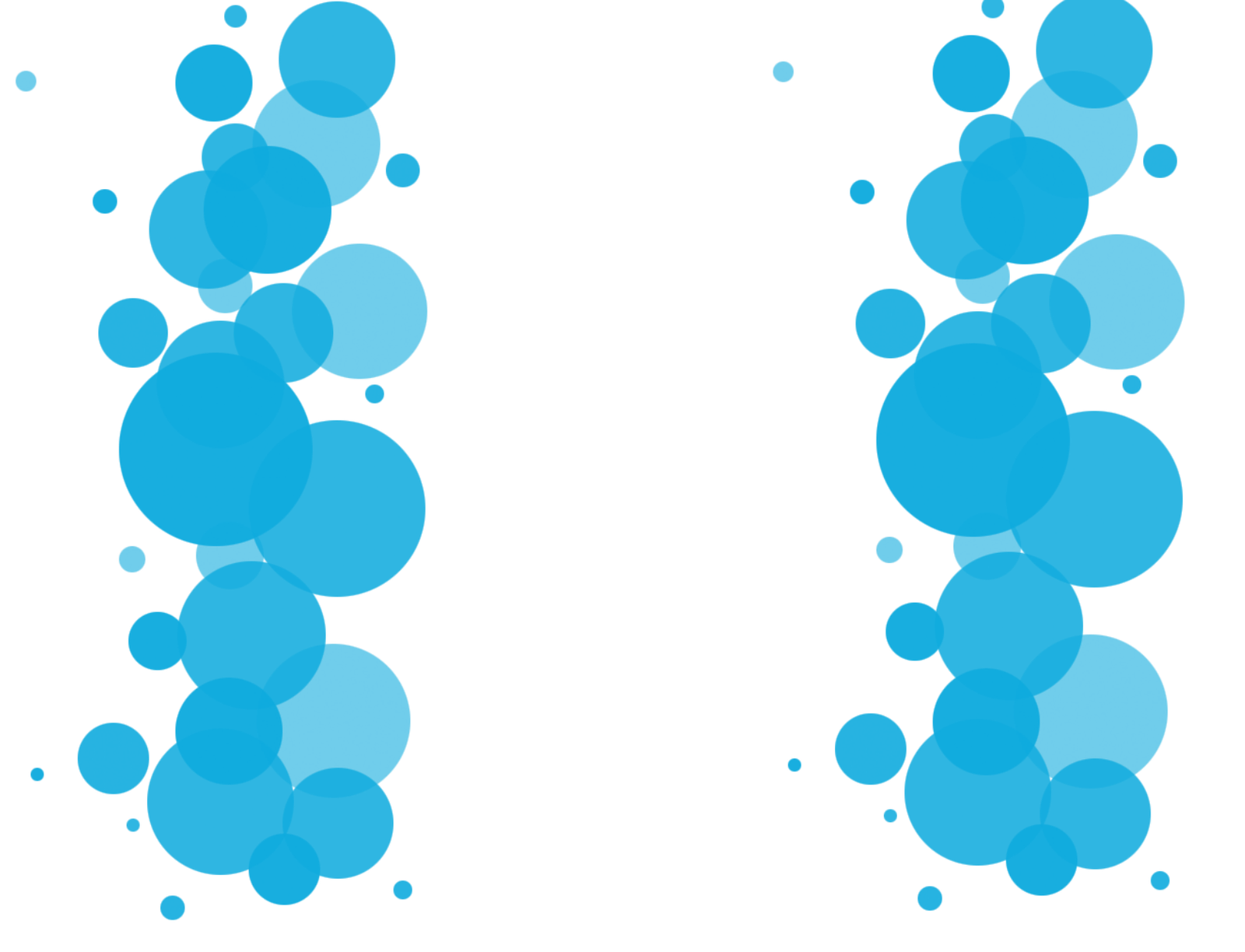 Bubbles Xresidential And Commercial Carpet Cleaning True Clean  HD Free Download