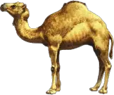 Camel Tux Paint Stamp Browser Animals  HD Free Download
