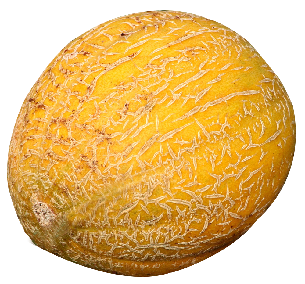 Cantaloupe Melon PNG Image   HD Free Download