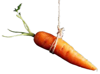 Carrot Designing Incentives For Wellness  HD Free Download
