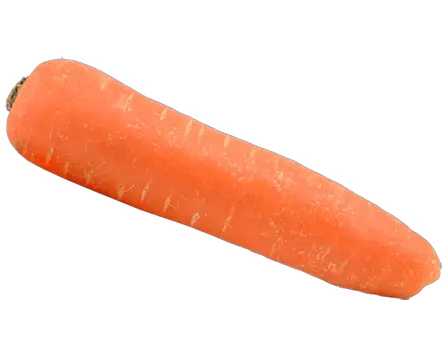 Carrot Dowdswel Shear Bolts  HD Free Download