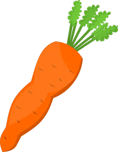 Carrot Food Greens Vector Graphic HD Free Download