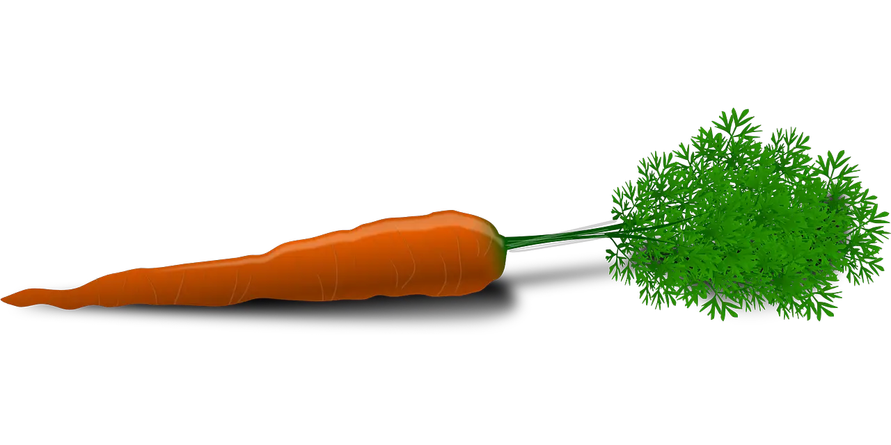 Carrot Holding Ourselves Accountable For Our Self Help Cfs  HD Free Download