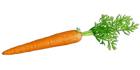 Carrot Ingredients The Secret Sauce Medical Marketing  HD Free Download